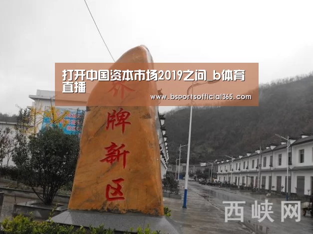 打开中国资本市场2019之问_b体育直播