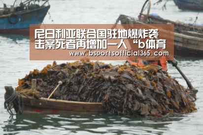尼日利亚联合国驻地爆炸袭击案死者再增加一人“b体育中国官网”(图3) b体育