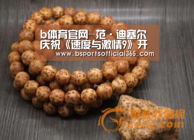 b体育官网-范·迪塞尔庆祝《速度与激情9》开机:不敢相信(图3) b体育中国官网