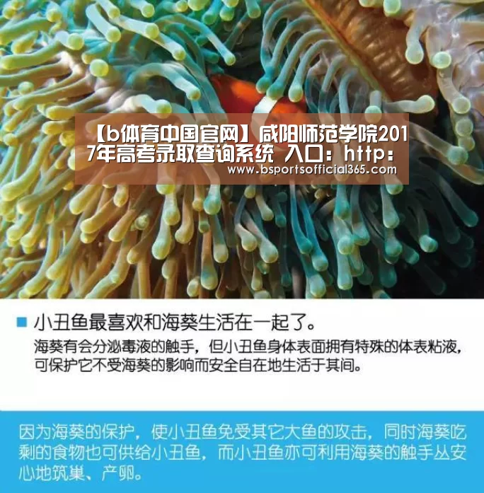 【b体育中国官网】咸阳师范学院2017年高考录取查询系统 入口:http://zsb1.xync.edu.cn/lqcx/index.as(图1) b体育